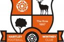 Mixed fortunes for Hartley Wintney and Whitchurch United in cup games