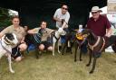 Andover Carnival, Vigo Park, Andover
Hampshire Greyhound Rescue
Photo by Ian Longthorne