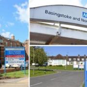 Trust that runs Andover hospital spends more than £20k dealing with pests
