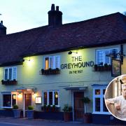 The Greyhound on the Test, inset: Phil Howard