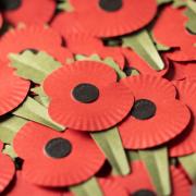 As the inspiration behind John McCrae's moving poem 'In Flanders Fields,' the poppy has become synonymous with remembering those who lost their lives in conflict.