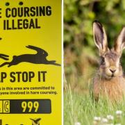 Residents urged to contact police after rise in hare coursing