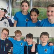 Andover swim club triumphed at county competitions