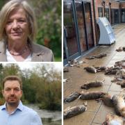 Top left Councillor Alison Johnston, bottom left Cllr Geoff Cooper and a photo of the animals
