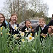 Schools celebrate Easter with fun activities