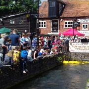 The Great Andover River Duck Race