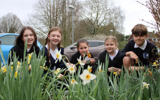 Schools celebrate Easter with fun activities