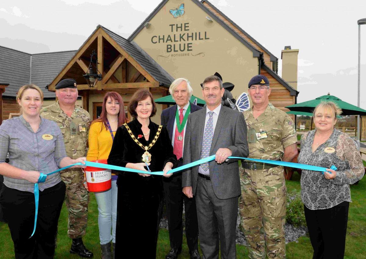 Opening of the Chalk Hill Blue in 2013