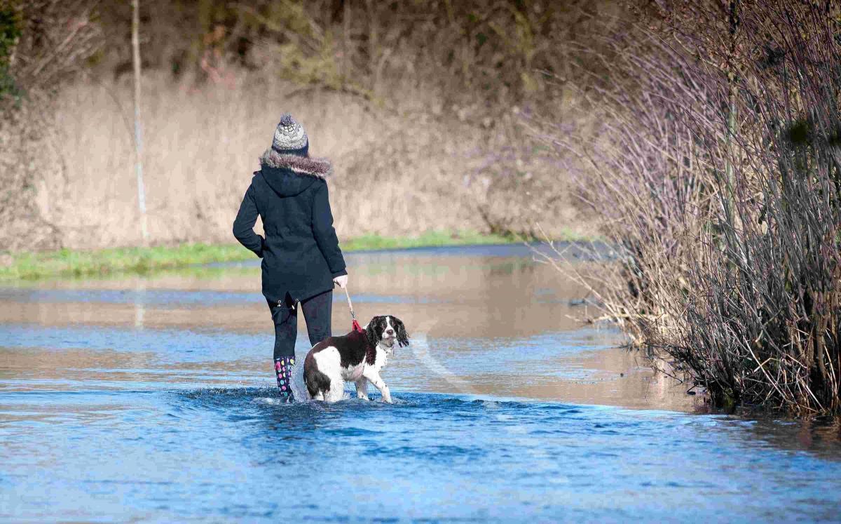 A dog walker paddles her way through Andover's Watery Lane, which has lived up to its name and is closed to vehicles due to a flooding River Anton in 2014