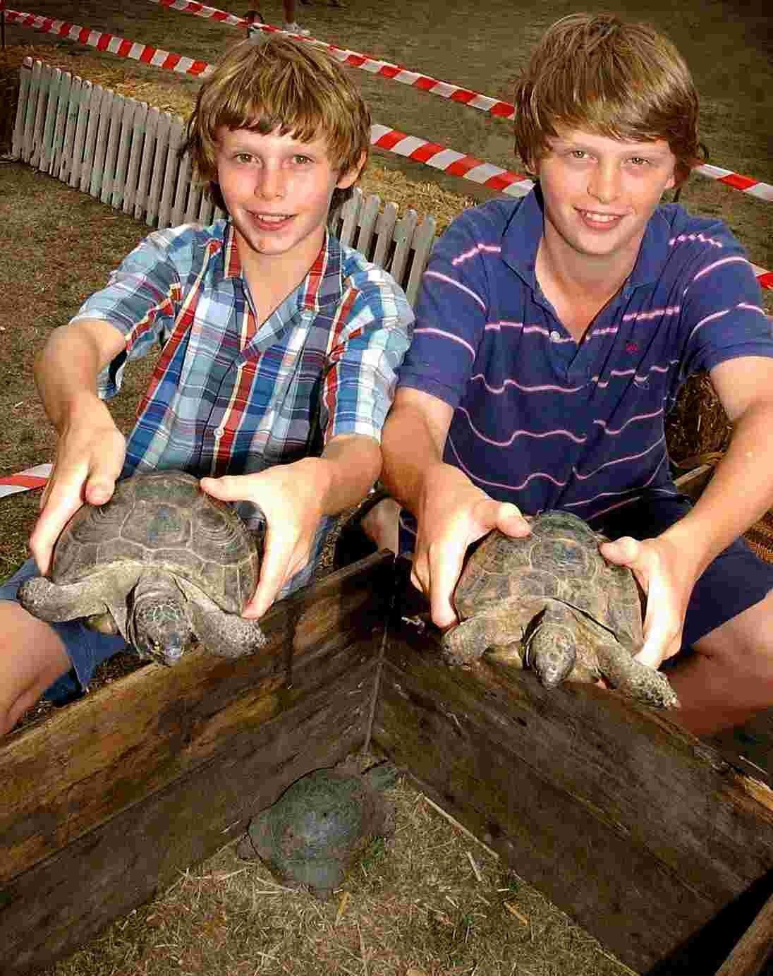 St Mary Bourne Fete 2006 - The tortoises being shown at the parade ring before the race start