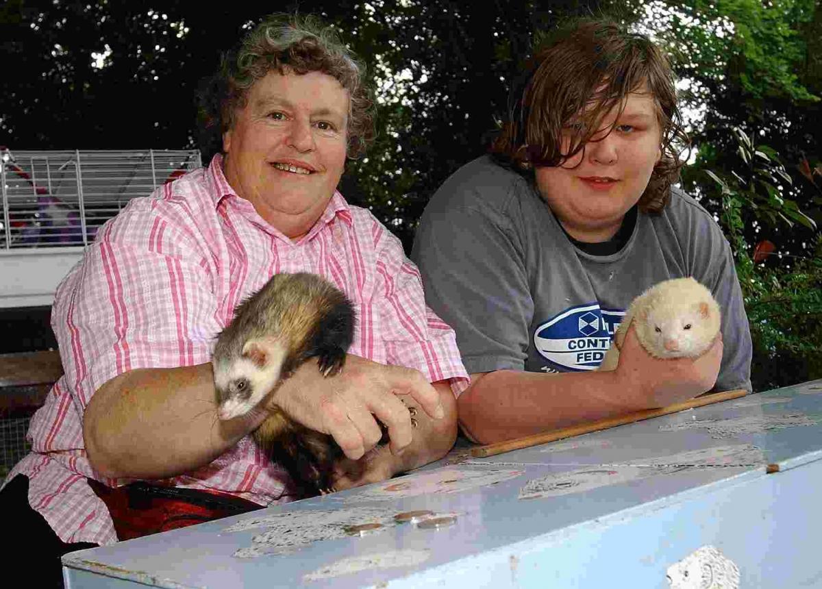 Ferrets and their two handlers at the Bere Hill House Fete, Whitchurch in 2007.