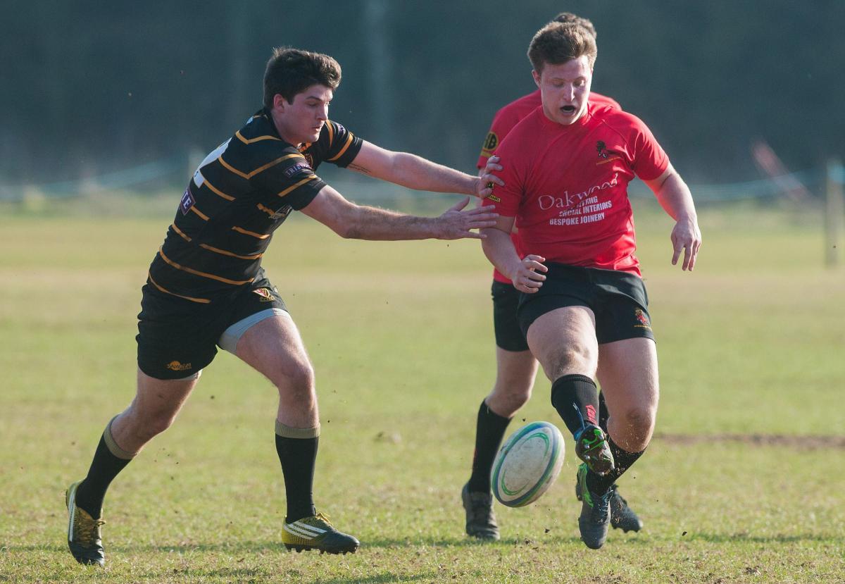Andover Rugby First XV - 14-41 defeat to London Cornish - Picture Andy Brooks