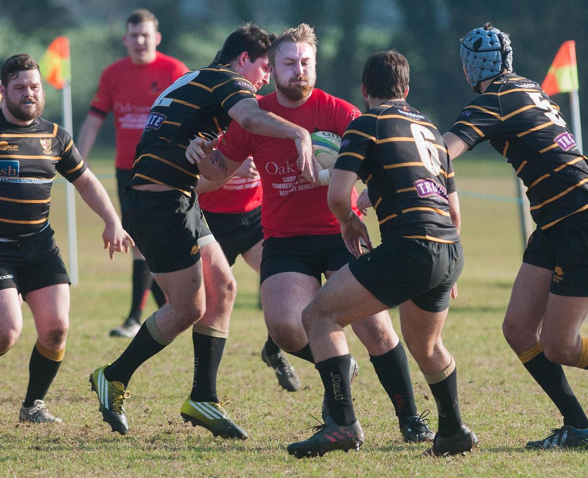 Andover Rugby First XV - 14-41 defeat to London Cornish - Picture Andy Brooks