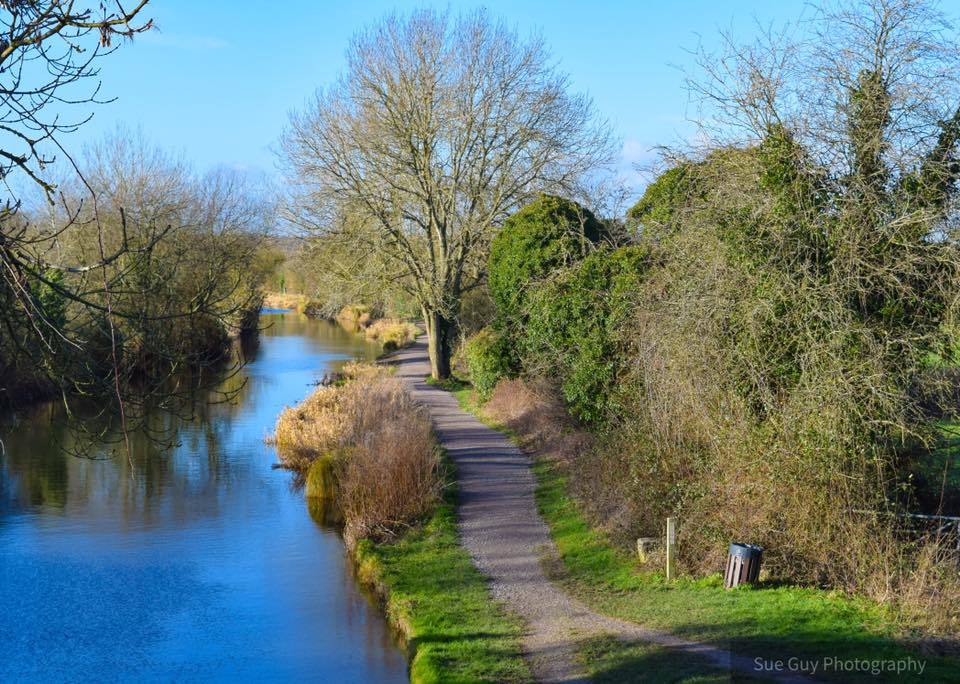 Basingstoke Canal (Photo: Sue Guy)