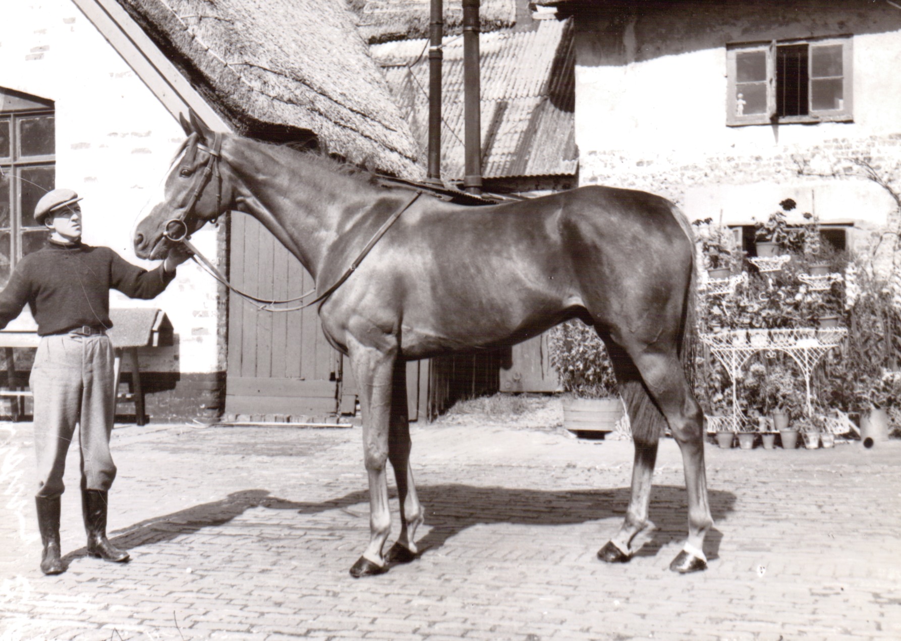 Highland Wedding won the Grand National in 1969