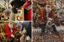 A Santa Paws grotto is coming to Raw Pet Food Pantry in Shedfield