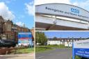 Trust that runs Andover hospital spends more than £20k dealing with pests