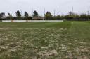 Waterlogged pitch at Beatrice Avenue
