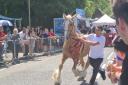 Streets of Wickham filled for this year's horse fair