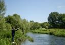 Test Valley opens applications for year-round fishing permits