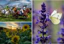 The 8 best camera club photos showing Andover's beauty in 'Magical Summer' theme