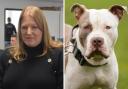 Hampshire's PCC Donna Jones has welcomed the XL Bully dog ban