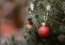 Residents in Andover can take their tree to be recycled at a designated collection point
