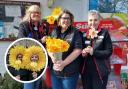 Staff and customers at Enham Shop and Post Office raised money for Marie Curie