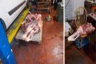 The illegal meat processing unit disocvered has landed the car wash owner with a ten-month custodial sentence.
