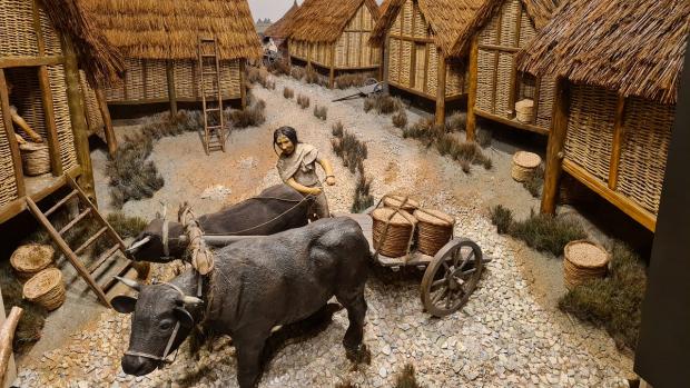 Andover Advertiser: Andover Museum/The Museum of the Iron Age. Picture: Tripadvisor