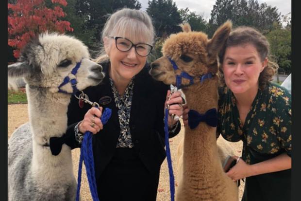 Sonia and Helen, Hampshire County Council Ceremonies Registration Officers, with two alpacas who acted as ring bearers at a marriage ceremony.