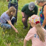 Volunteer nature organisation holding guided woodland walk to celebrate 2022 projects