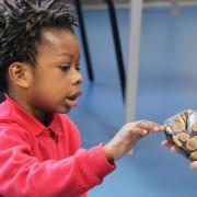 The students interacted with lots of different animals on the day