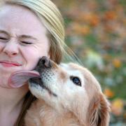 This is why pet owners shouldn't let their dogs lick their faces