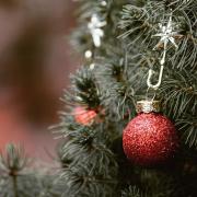 Residents in Andover can take their tree to be recycled at a designated collection point