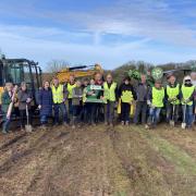 Photos from the tree planting session fenceline of Balksbury Hillford meadow
