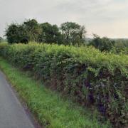 Proposed site for the access track
