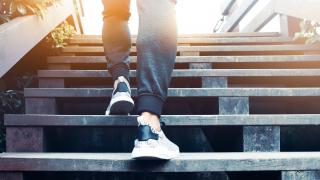 Even short bursts of activity such as stair climbing could cut the risk of premature death, the new findings stated.