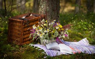 A picnic blanket and basket with flowers and a book. Credit: Canva