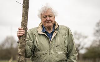 Sir David Attenborough will narrate Planet Earth III for the first time since 2016