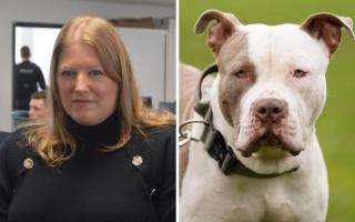 Hampshire's PCC Donna Jones has welcomed the XL Bully dog ban