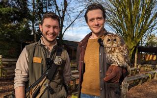 David Oakes with Sage the Tawny Owl alongside Tom Morath, deputy head of the Living Collection at The Hawk Conservancy Trust