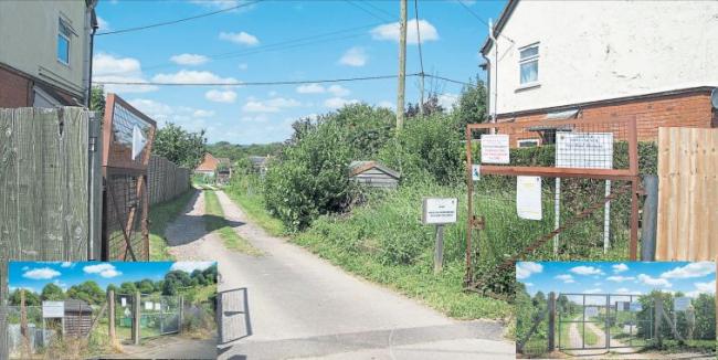 Vigo Road (above), Old Winton Road and The Drove allotments (inset) have experienced rat problems this year